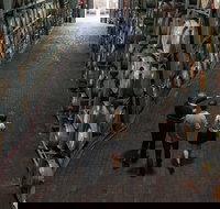 Wirra Wirra Vineyard McLaren Vale Winery Tour and Shiraz Masterclass - Hotel QLD