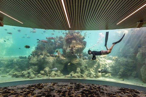 Whitehaven Beach And Daydream Island Cruise - Hotel QLD 4