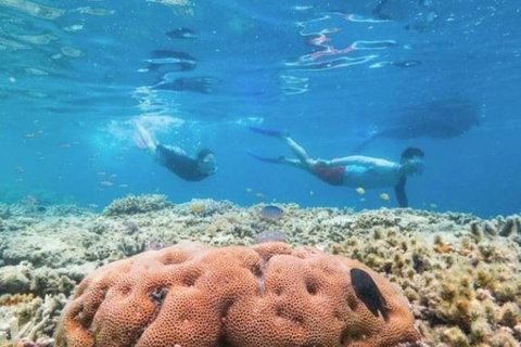 Great Barrier Reef Day Cruise To Reefworld - Hotel QLD 1