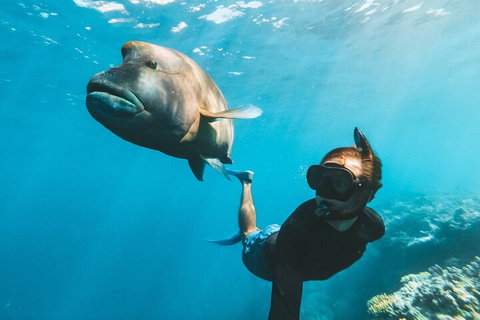 Great Barrier Reef Day Cruise To Reefworld - Hotel QLD 3
