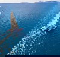 2-Night Whitsunday Islands Sailing Adventure on Trimaran Avatar - Hotel QLD