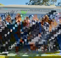 Full Day Mount Tamborine Winery Tour from Gold Coast - Hotel QLD