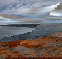 Kangaroo Island Luxury Small Group 'Flinders Chase Focus' Full Day Tour - Hotel QLD