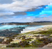 Kangaroo Island Luxury Small Group 'East End Explorer' Full Day Tour - Hotel QLD
