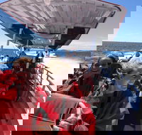 Adventure Rottnest Tour with Ferry  Adventure Cruise from Perth or Fremantle - Hotel QLD