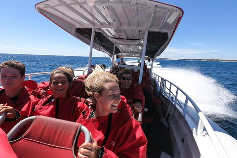 Adventure Rottnest Tour With Ferry & Adventure Cruise From Perth Or Fremantle - Hotel QLD 0