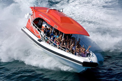Adventure Rottnest Tour With Ferry & Adventure Cruise From Perth Or Fremantle - Hotel QLD 2