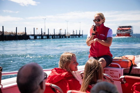 Adventure Rottnest Tour With Ferry & Adventure Cruise From Perth Or Fremantle - Hotel QLD 4