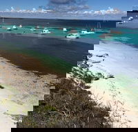 Experience Rottnest with Ferry  Bike Hire from Perth or Fremantle - Hotel QLD