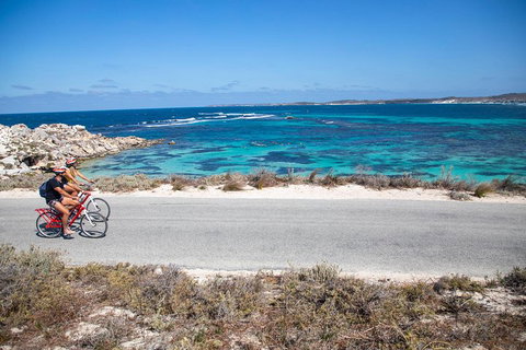 Experience Rottnest With Ferry & Bike Hire From Perth Or Fremantle - Hotel QLD 2