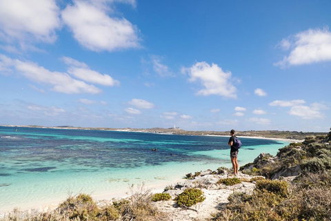 Experience Rottnest With Ferry & Bike Hire From Perth Or Fremantle - Hotel QLD 3