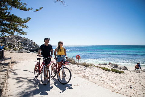 Experience Rottnest With Ferry & Bike Hire From Perth Or Fremantle - Hotel QLD 4