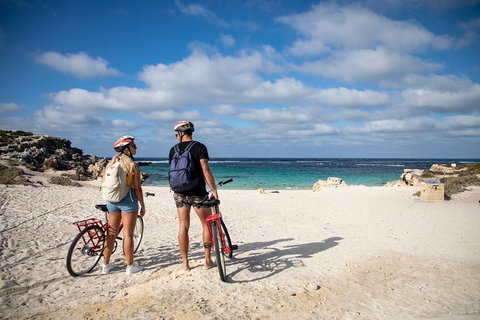 Experience Rottnest With Ferry & Bike Hire From Perth Or Fremantle - Hotel QLD 5