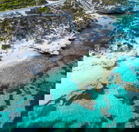 Rottnest Island Round-Trip Ferry from Perth or Fremantle - Hotel QLD