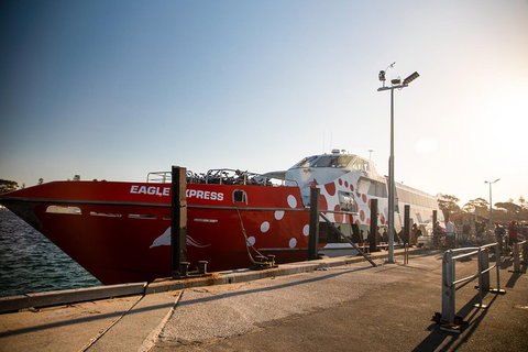 Rottnest Island Round-Trip Ferry From Perth Or Fremantle - Hotel QLD 2
