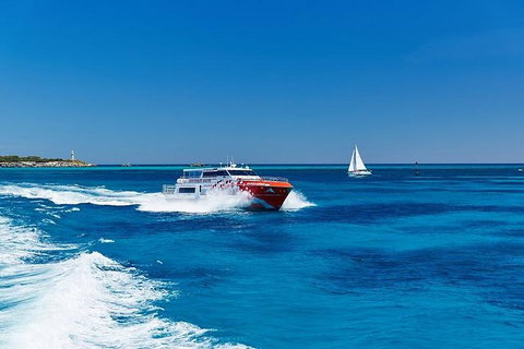 Rottnest Island Round-Trip Ferry From Perth Or Fremantle - Hotel QLD 4