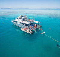 Ocean Freedom Great Barrier Reef Personal Luxury Snorkel  Dive Cruise Cairns - Hotel QLD