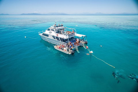 Ocean Freedom Great Barrier Reef Personal Luxury Snorkel & Dive Cruise, Cairns - Hotel QLD 0