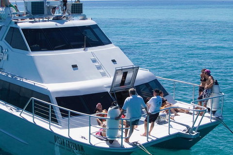 Ocean Freedom Great Barrier Reef Personal Luxury Snorkel & Dive Cruise, Cairns - Hotel QLD 1