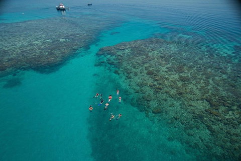 Ocean Freedom Great Barrier Reef Personal Luxury Snorkel & Dive Cruise, Cairns - Hotel QLD 3