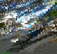 1/2 day Swan Valley Wine Cheese  Chocolate Tour Inc Afternoon Cruise to Perth - Hotel QLD