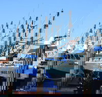 One Day Port Lincoln Tour - Tasting Eyre - Hotel QLD