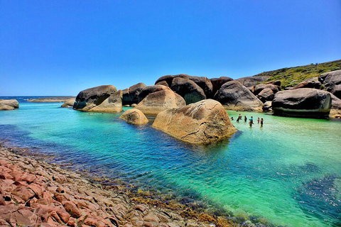 6 Day Esperance & Margaret River Adventure Tour - Hotel QLD 3