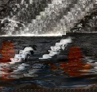 3 Day 4WD Dragonfly Dreaming Top End Safari - Hotel QLD