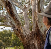 NEW TOUR - Kangaroo Island Road to Recovery Tour 1 Day/1 Night - Hotel QLD