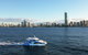 Whale Watching By Sea World Cruises - thumb 1