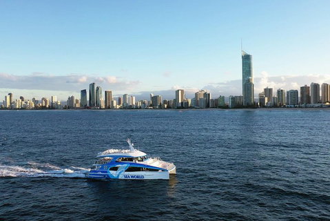 Whale Watching By Sea World Cruises - Hotel QLD 1