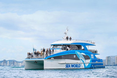 Whale Watching By Sea World Cruises - Hotel QLD 3