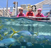 Outer Reef Pontoon Experience from Cairns - Hotel QLD