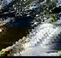 Cradle Mountain Day Tour from Launceston Including Lunch - Hotel QLD