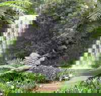 Private Daintree and Cape Tribulation Tour from Port Douglas - Hotel QLD