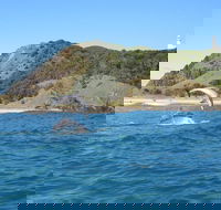 Kayaking with Dolphins in Byron Bay Guided Tour - Hotel QLD