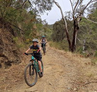 Mount Lofty Descent Bike Tour from Adelaide - Hotel QLD