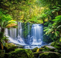 Day Tour in Mt. Field Mt. Wellington Bonorong Wildlife Sanctuary and Richmond - Hotel QLD