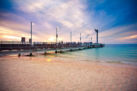 Tangalooma Island Resort Whale Watching Day Cruise With Dolphin Viewing - Hotel QLD 3