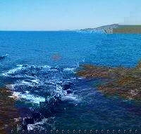 Julian Rocks Byron Bay Cruise - Hotel QLD