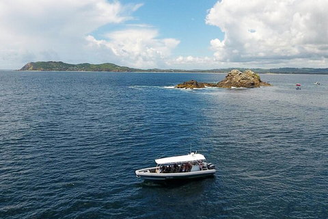 Julian Rocks Byron Bay Cruise - Hotel QLD 5