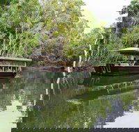 Hartley's Crocodile Adventures Breakfast with the Koalas - Hotel QLD