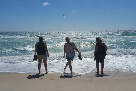 Very Best Of Perth Tour - Wildlife Park & City Highlights Tour - Hotel QLD 5