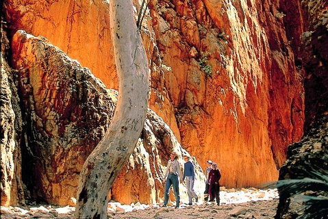 West MacDonnell Ranges Day Trip From Alice Springs - Hotel QLD 3
