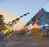 Kangaroo Island Self-Guided Kayaking on the Harriet River - Hotel QLD