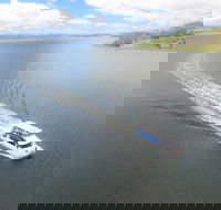 2.5 hour Afternoon Discovery Cruise including Cataract Gorge departs at 1 30 pm - Hotel QLD