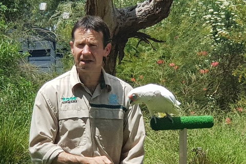 Healesville Sanctuary And Rayners Orchard Tour From Melbourne - Hotel QLD 0