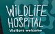 Healesville Sanctuary And Rayners Orchard Tour From Melbourne - thumb 1
