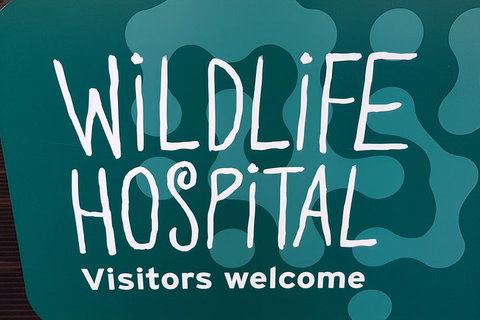 Healesville Sanctuary And Rayners Orchard Tour From Melbourne - Hotel QLD 1