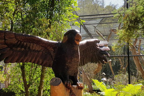 Healesville Sanctuary And Rayners Orchard Tour From Melbourne - Hotel QLD 2